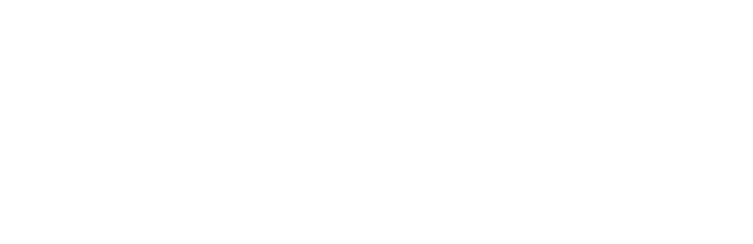 Universidade Hyundai